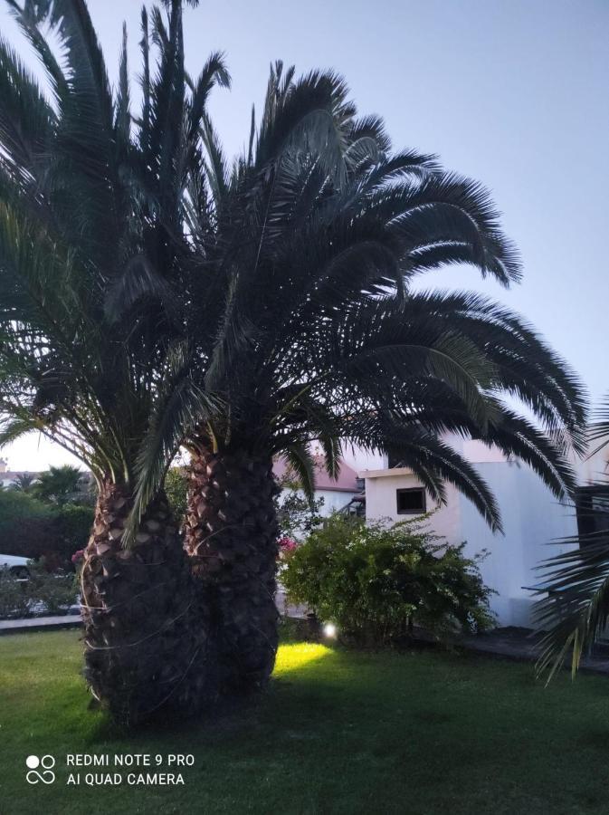 Suite La Oliva Bagian luar foto
