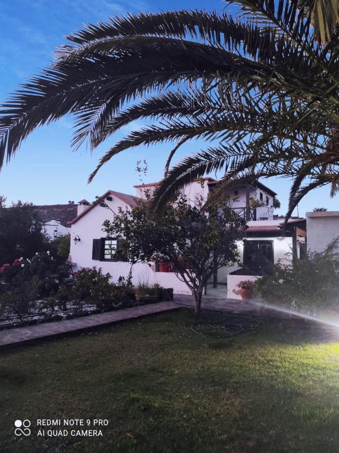 Suite La Oliva Bagian luar foto
